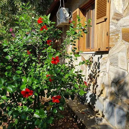 Kapri Tatil Evleri *